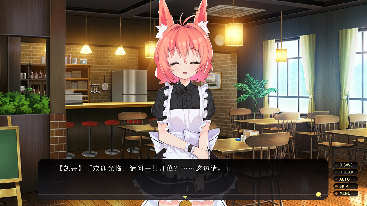 流浪小貓單身狗