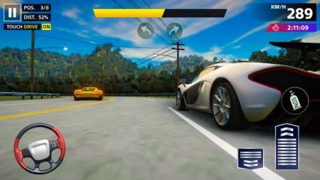 職業真車競技場