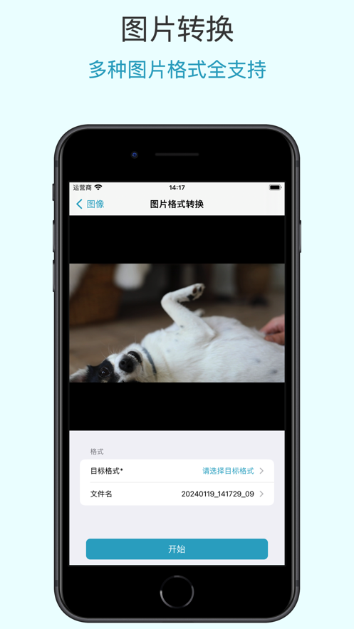 格式專家