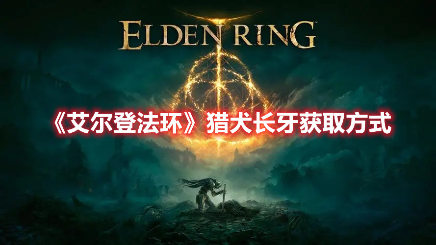 《艾爾登法環》獵犬長牙獲取方式