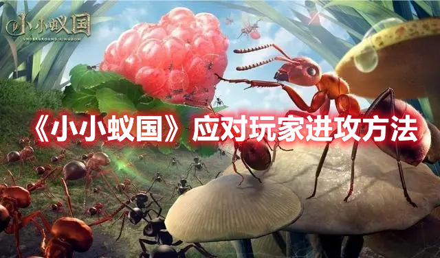 《小小蟻國(guó)》應(yīng)對(duì)玩家進(jìn)攻方法