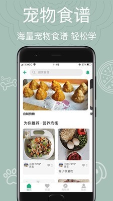 寵物食譜