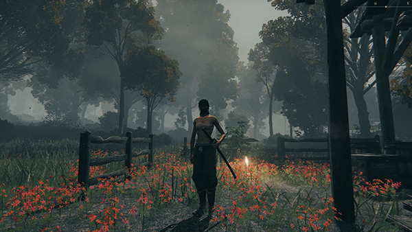 《艾爾登法環》加深畫質顏色MOD
