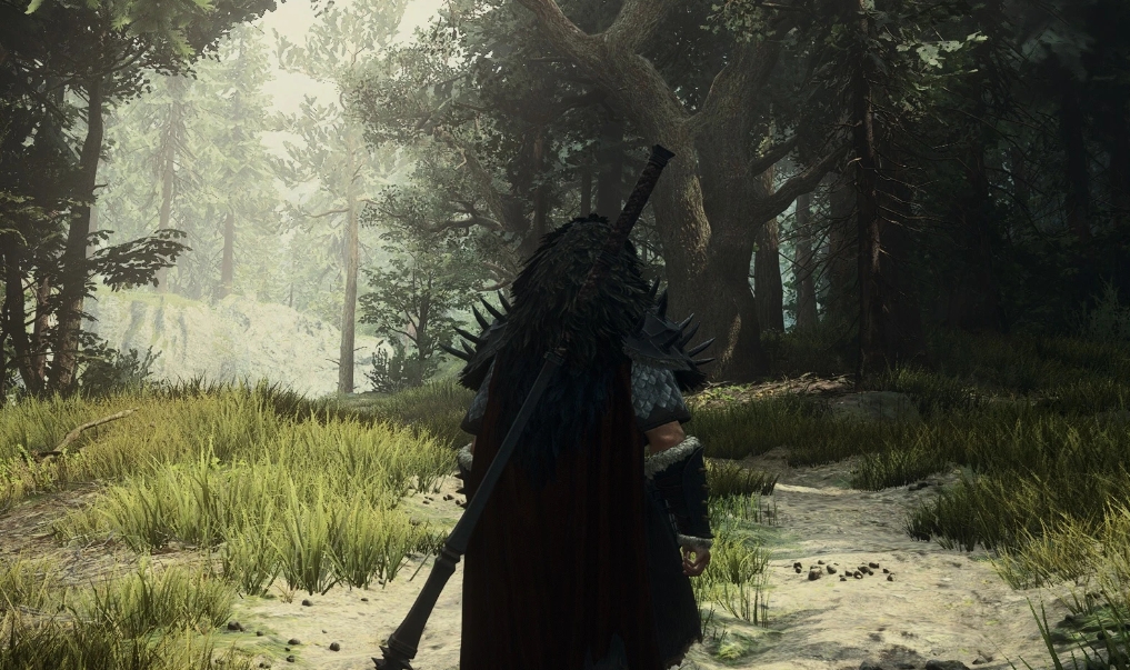 《龍之信條2》灰白色覆蓋效果消除MOD