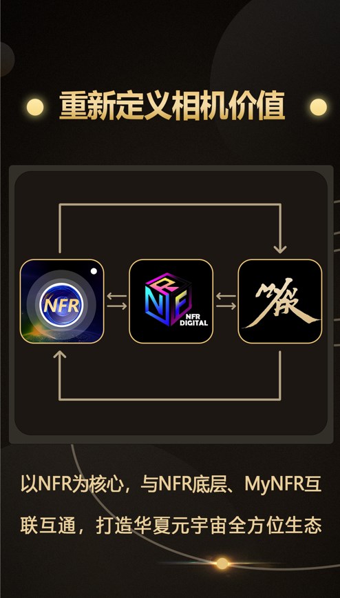 NFR相機(jī)