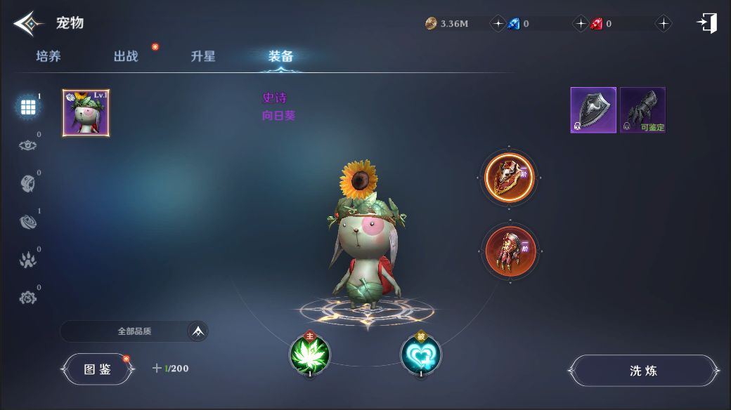 《無神之界》寵物裝備洗煉解鎖攻略