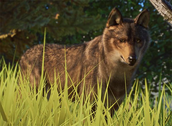 《動物園之星》增添新物種伊比利亞狼MOD[支持v1.13版]