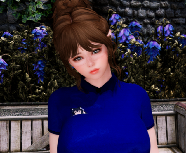 《上古卷軸5：天際重制版》韓式清純女性預(yù)設(shè)MOD