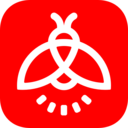 火螢視頻壁紙老版本