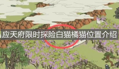 《江南百景圖》應(yīng)天府限時探險白貓橘貓位置介紹