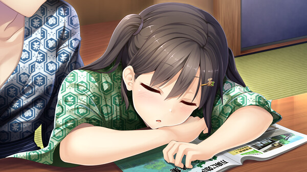 未來(lái)無(wú)線(xiàn)電與人工鴿steam版