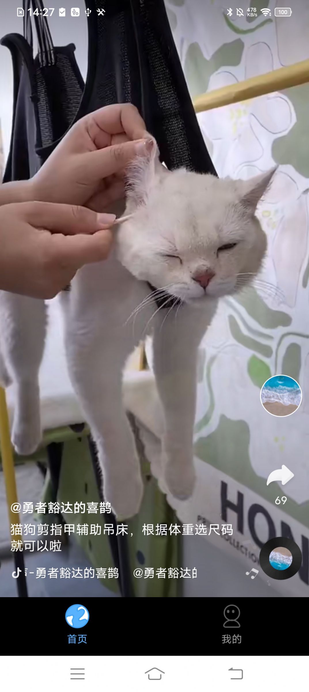 巔峰短劇