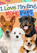 我愛找更多狗典藏版