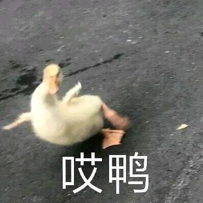 熱門微信表情包