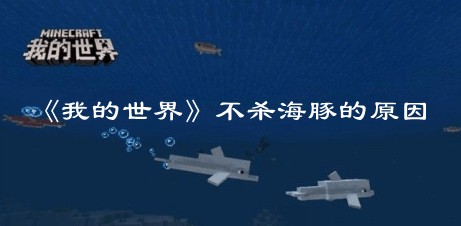 《我的世界》不殺海豚的原因