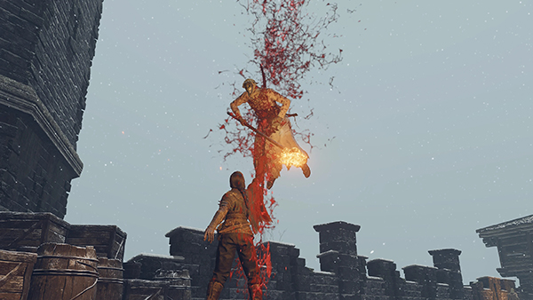 《艾爾登法環》血腥刺客招式MOD