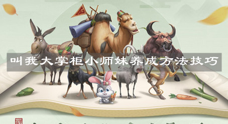 《叫我大掌柜》小師妹養(yǎng)成方法技巧