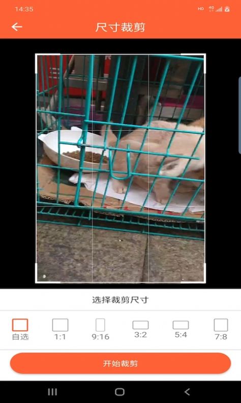 鴻翔水印