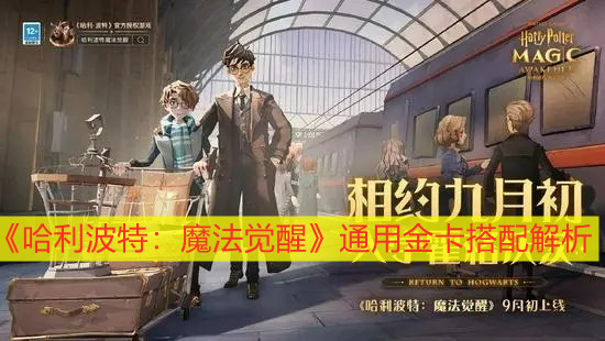 《哈利波特：魔法覺(jué)醒》通用金卡搭配解析