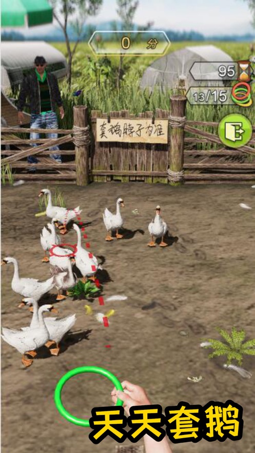 天天套圈破解版