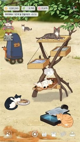 漁場貓咪