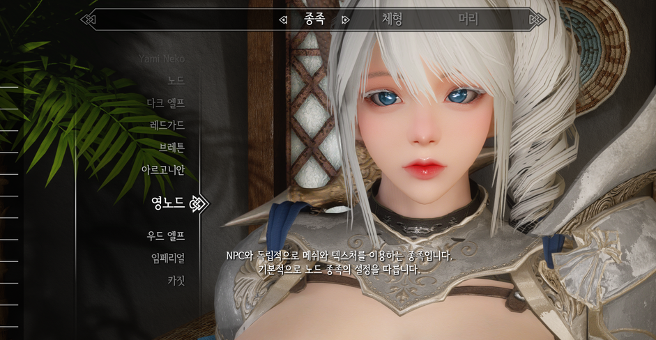 《上古卷軸5：天際重制版》精致騎士小姐姐RM面部預設MOD