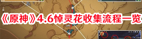 《原神》4.6悼靈花收集流程一覽