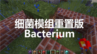 《我的世界》細菌模組重制版BacteriumMod