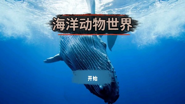 海洋動物世界