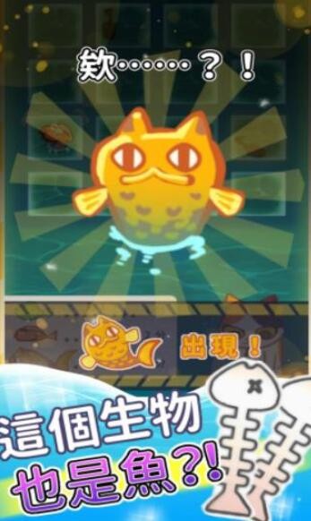 貓貓想吃魚(yú)