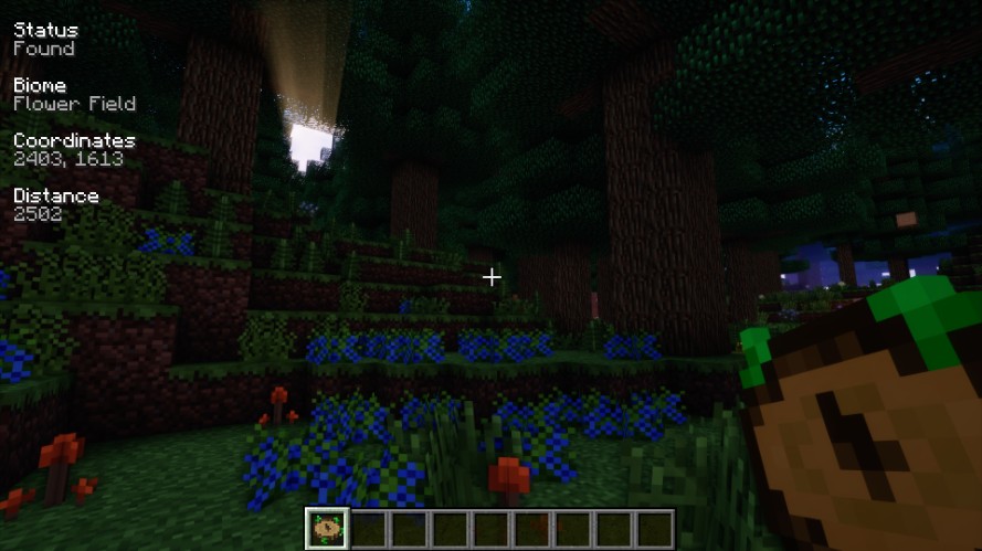 《我的世界》1.18.1生物群系指南針MOD