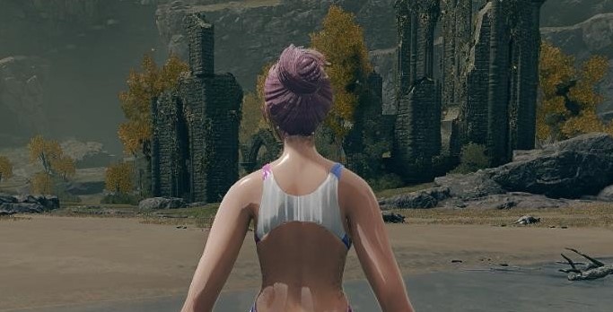 《艾爾登法環(huán)》DOA泳裝愛(ài)麗絲MOD