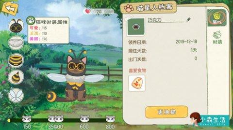 《小森生活》貓咪裝扮方法