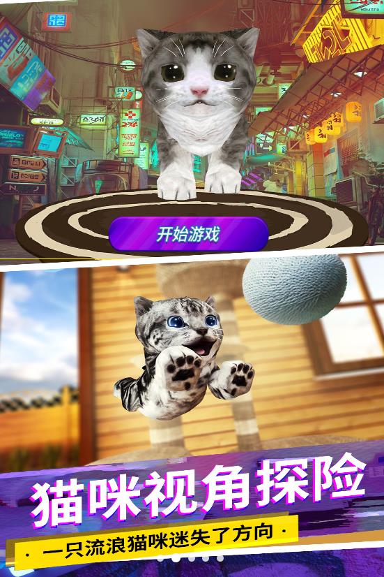 貓咪城市模擬