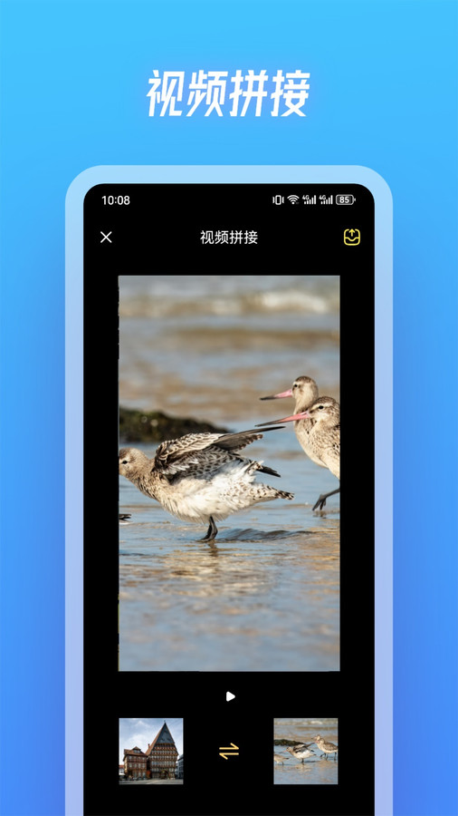 斑馬視頻制作