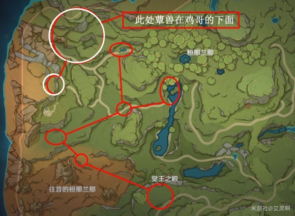 《原神》須彌蕈獸討伐路線一覽