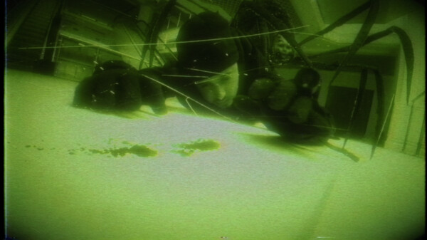 蜘蛛購(gòu)物中心！