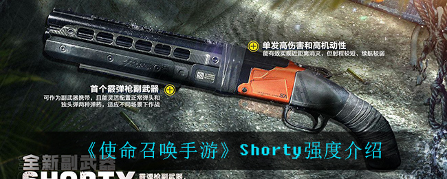 《使命召喚手游》Shorty強度講解