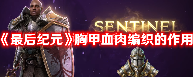 《最后紀元》胸甲血肉編織的作用