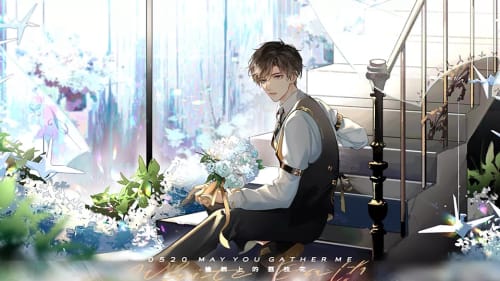 榆樹上的荔枝花破解版