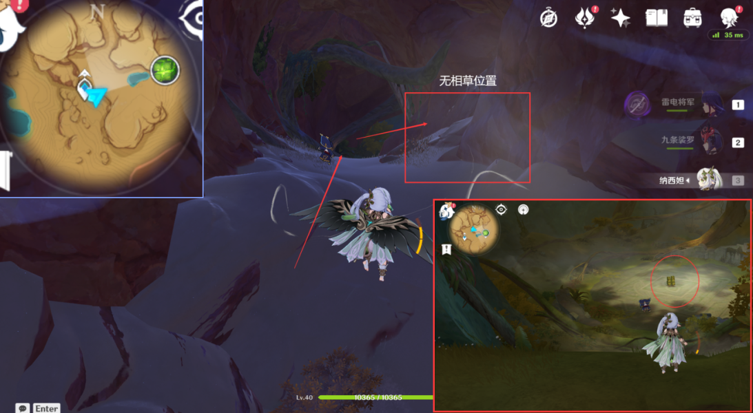 《原神》無相之草位置攻略