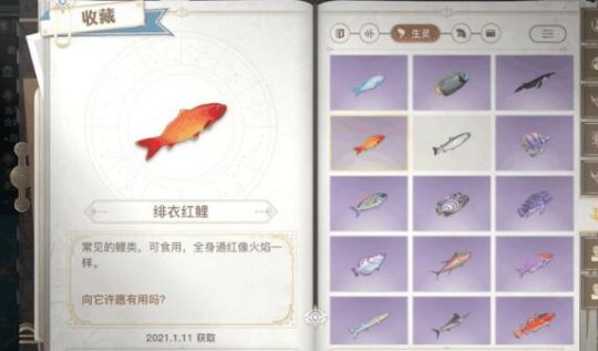 《天諭手游》生生不息小丑魚(yú)生命之能位置解析