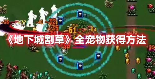 《地下城割草》全寵物獲得方法