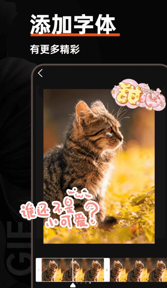 gif動(dòng)圖社區(qū)