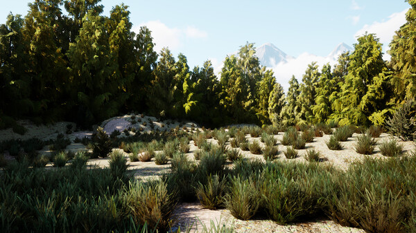 菜鳥檔案：未見現(xiàn)場