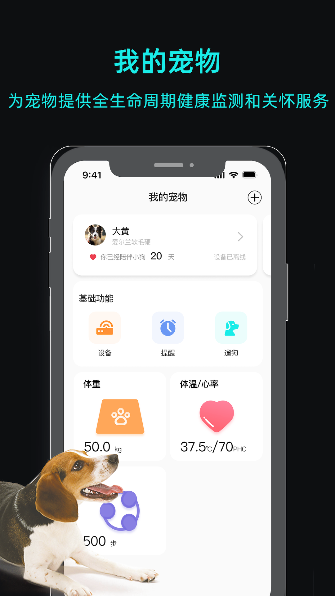 一聰小白