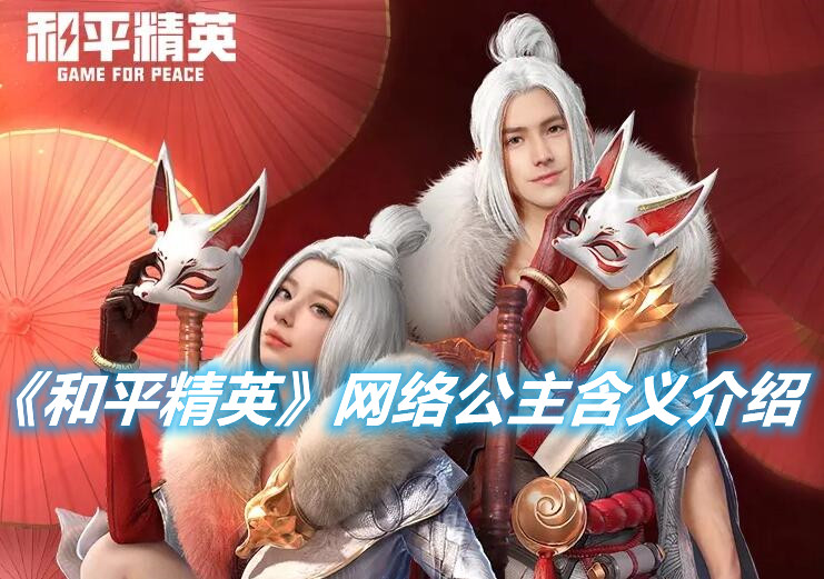 《和平精英》網絡公主是什么意思