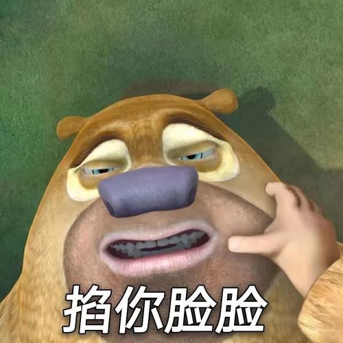 熊出沒臉部放大表情包原圖