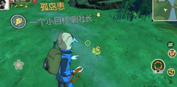 《小森生活》金母雞位置分享