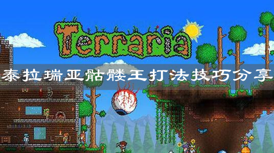 《泰拉瑞亞》骷髏王打法技巧分享